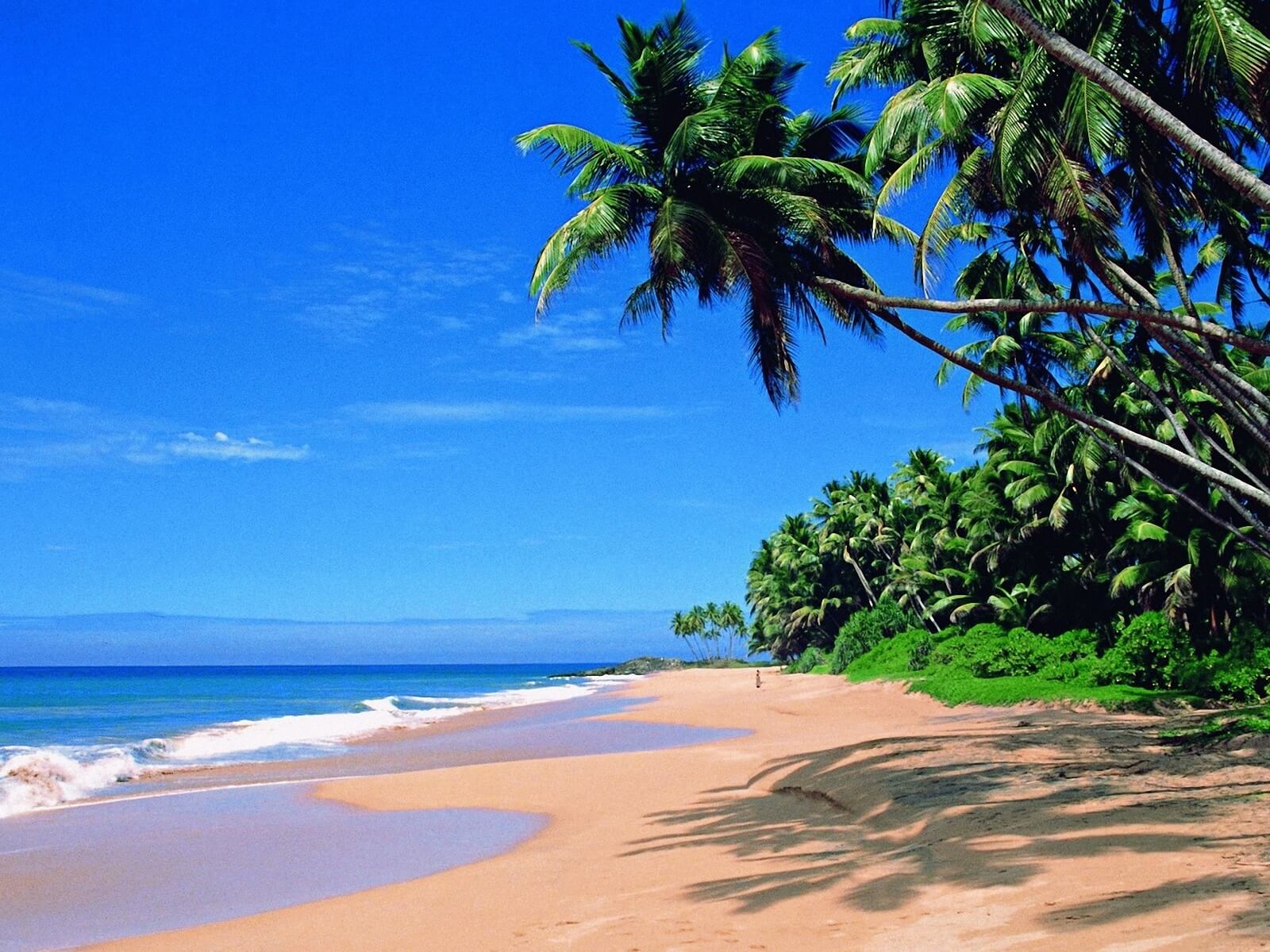 travelco-tour-packageourism in kannur travelco goa tour packages