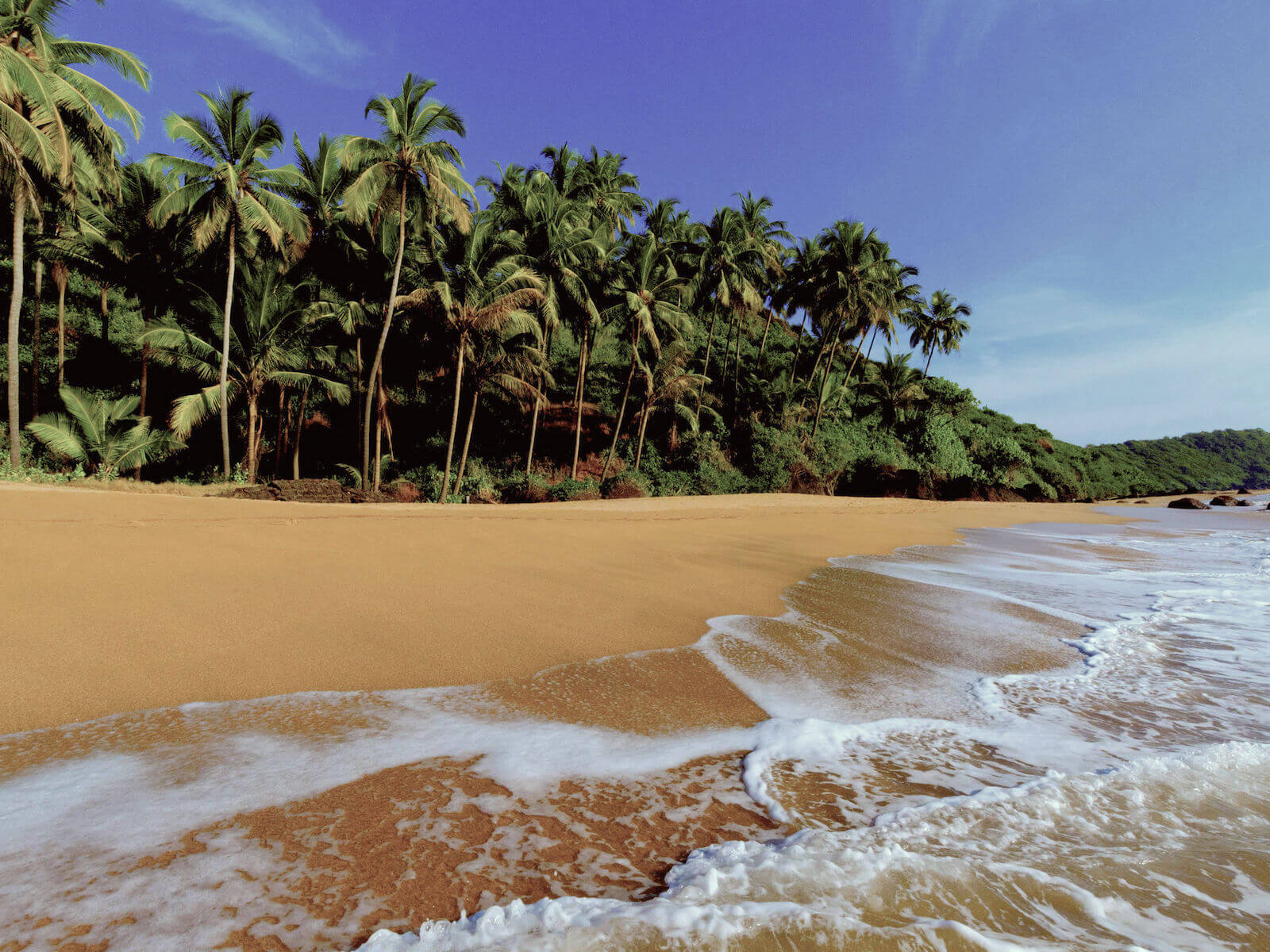 travelco-tour-packages-best-of-goa-5