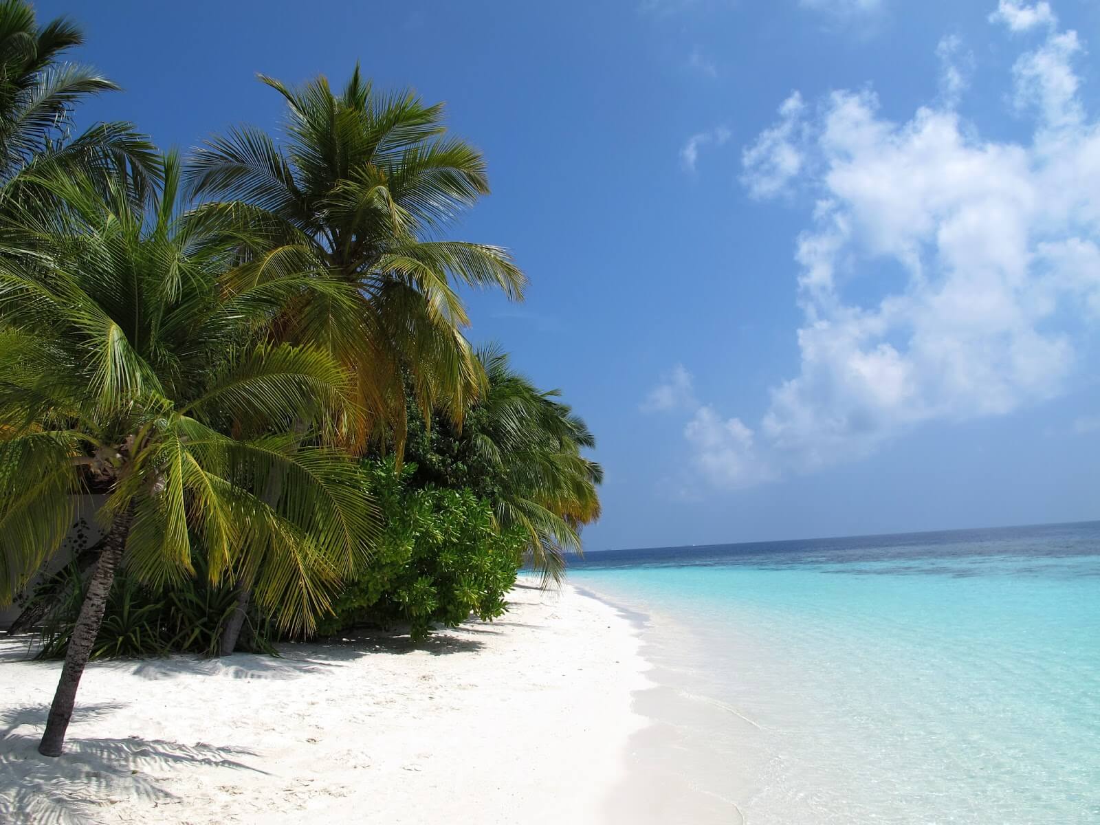 travelco-tour-packages-best-of-maldives-5
