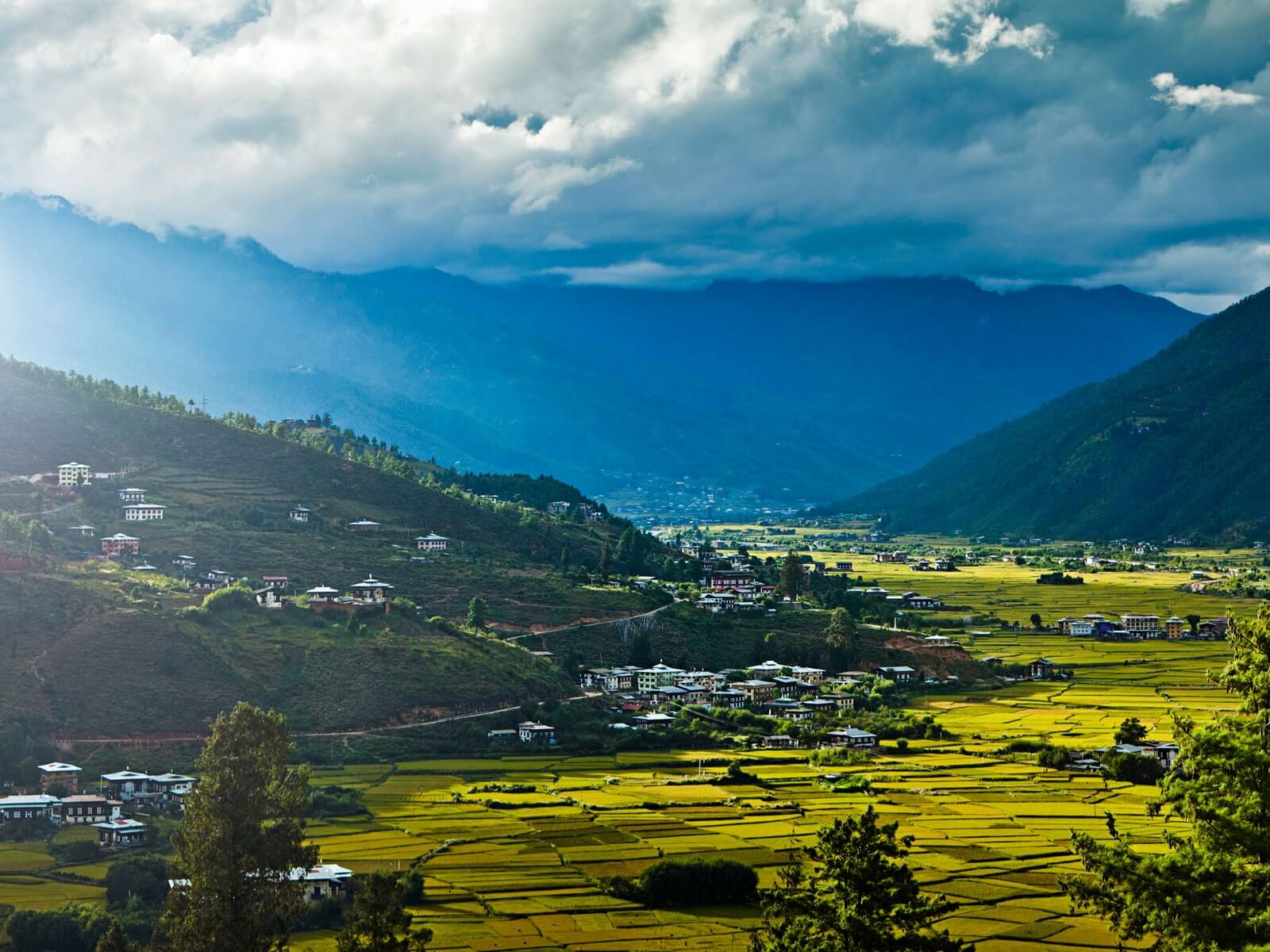 travelco-tour-packages-bhutan-5